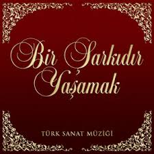 Bir Şarkıdır Yaşamak Grup