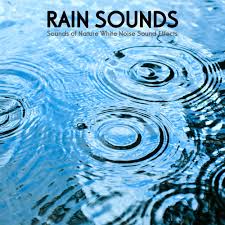 Meditation Rain Sounds